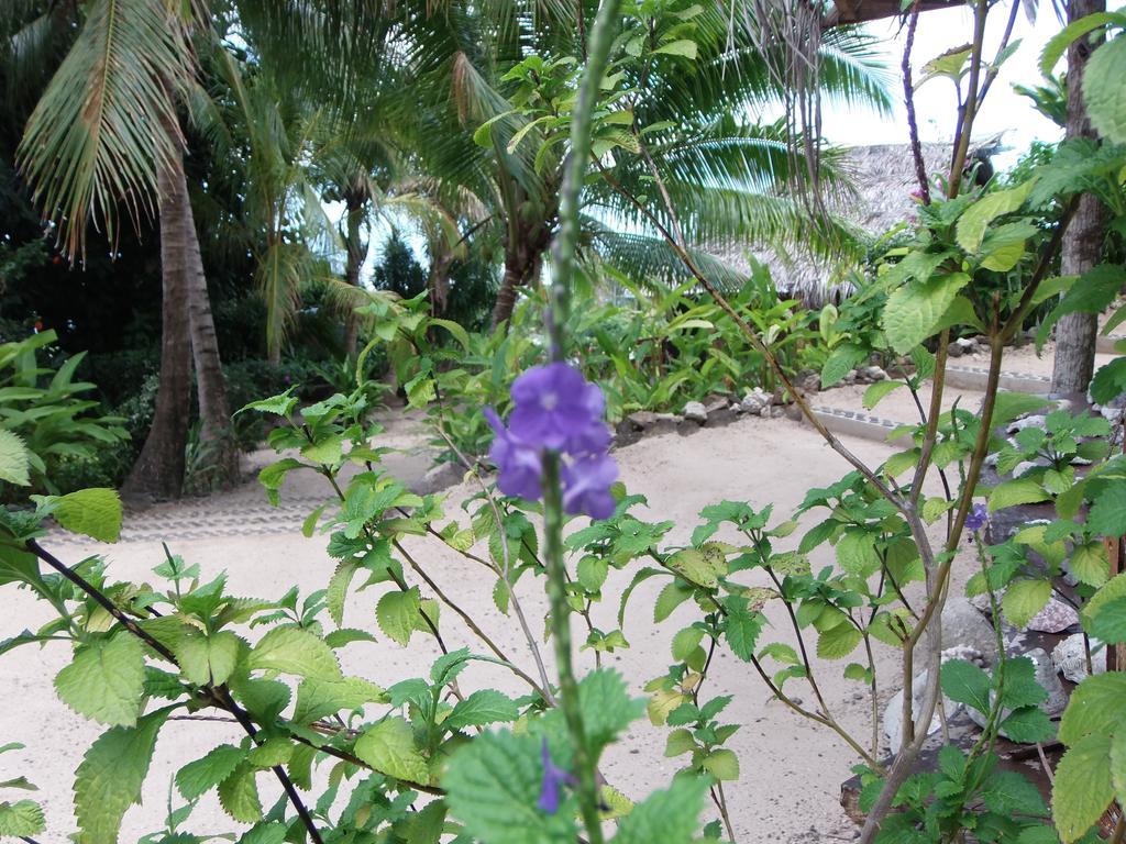 Fare Arana Mooréa Guesthouse Atiha Esterno foto